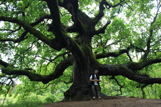 Il grande viaggio fra gli alberi di Tiziano Fratus