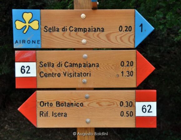 All You Need Is Walk | 30 aprile – 3 maggio 2015