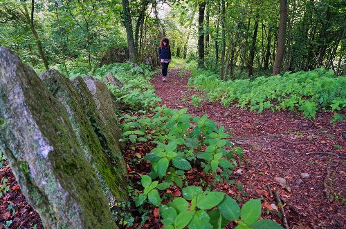 Ameno di nome e di fatto: il Quadrifoglio da camminare
