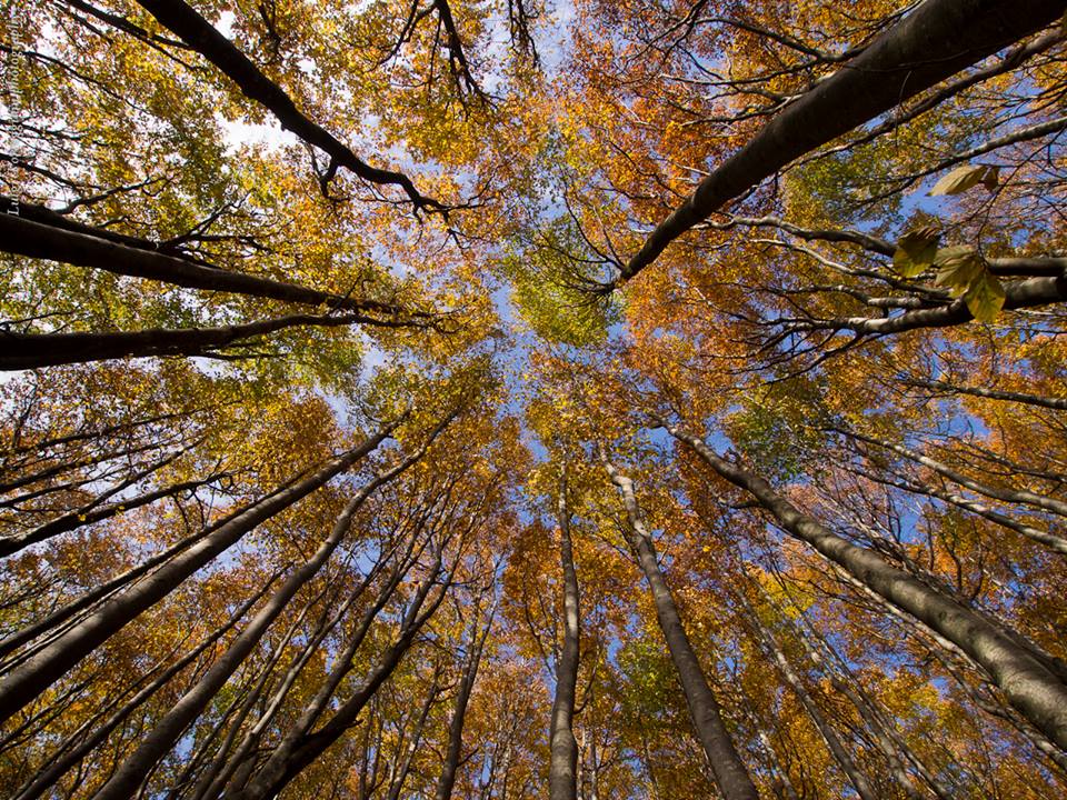 viaggi a piedi in autunno