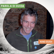 Nino Guidi