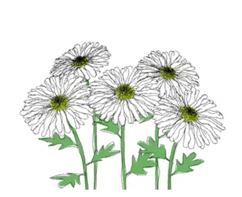primavera